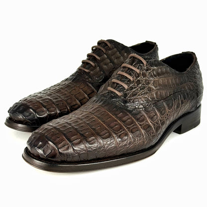 ALEXANDER COCODRILO FUSCUS BROWN