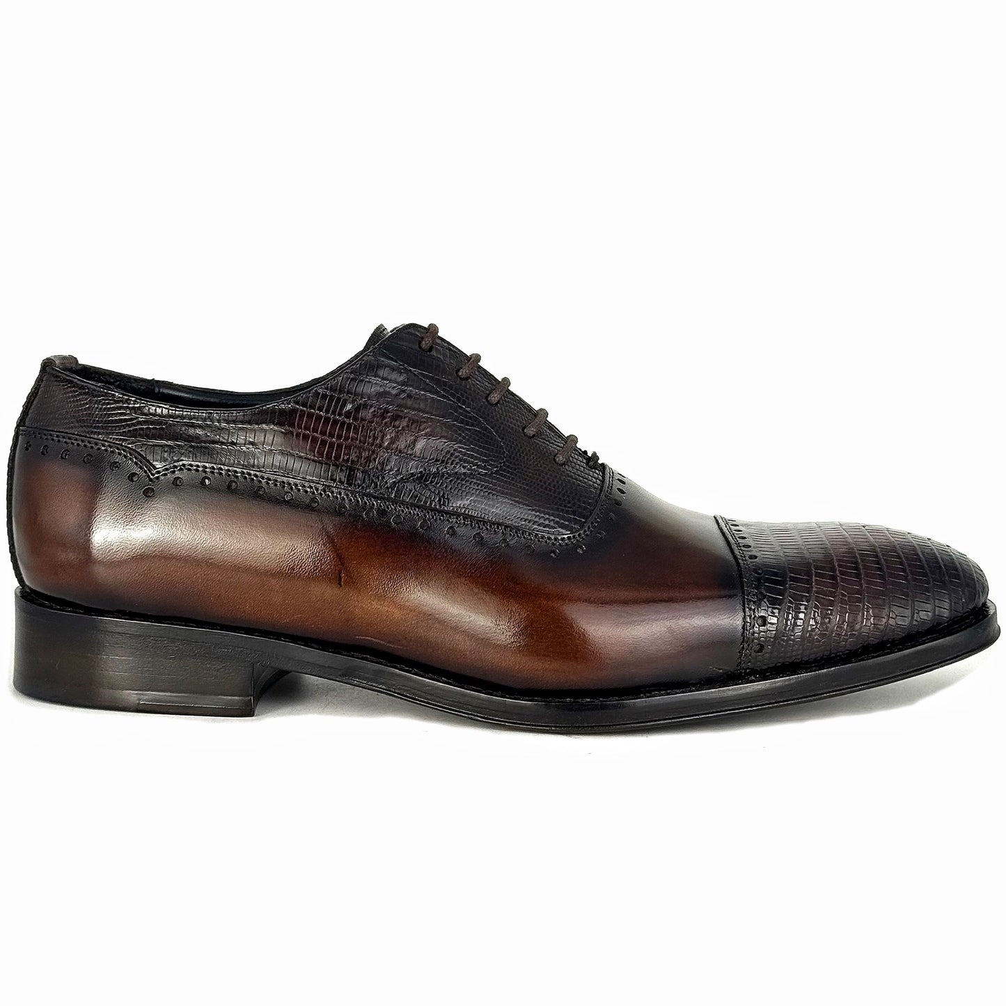 WILLIAM PIEL & LIZARD BROWN