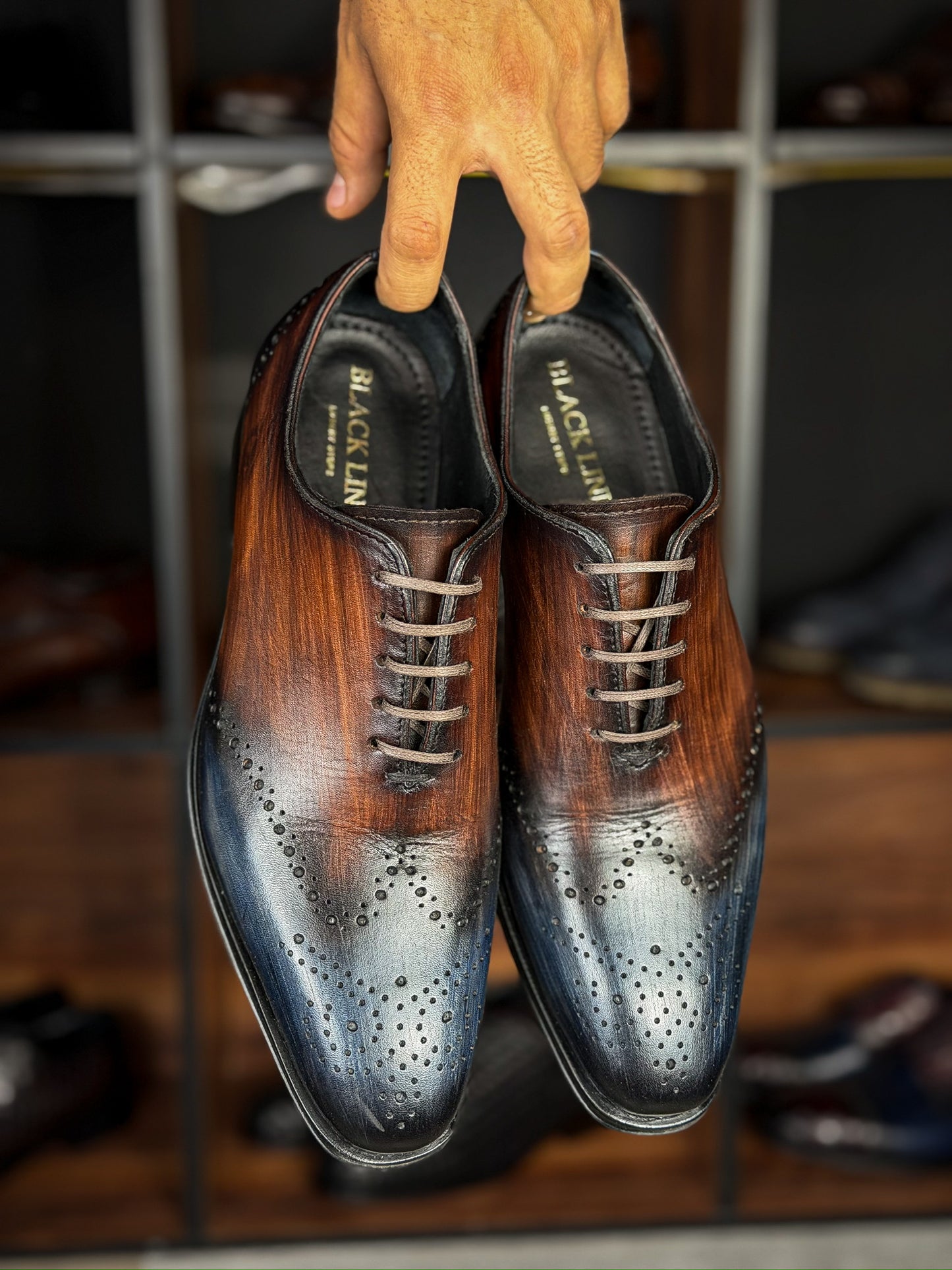 CESAR WHOLECUT ITALIA BROWN &amp; BLUE 