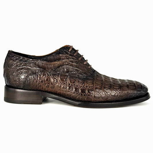 ALEXANDER COCODRILO FUSCUS BROWN