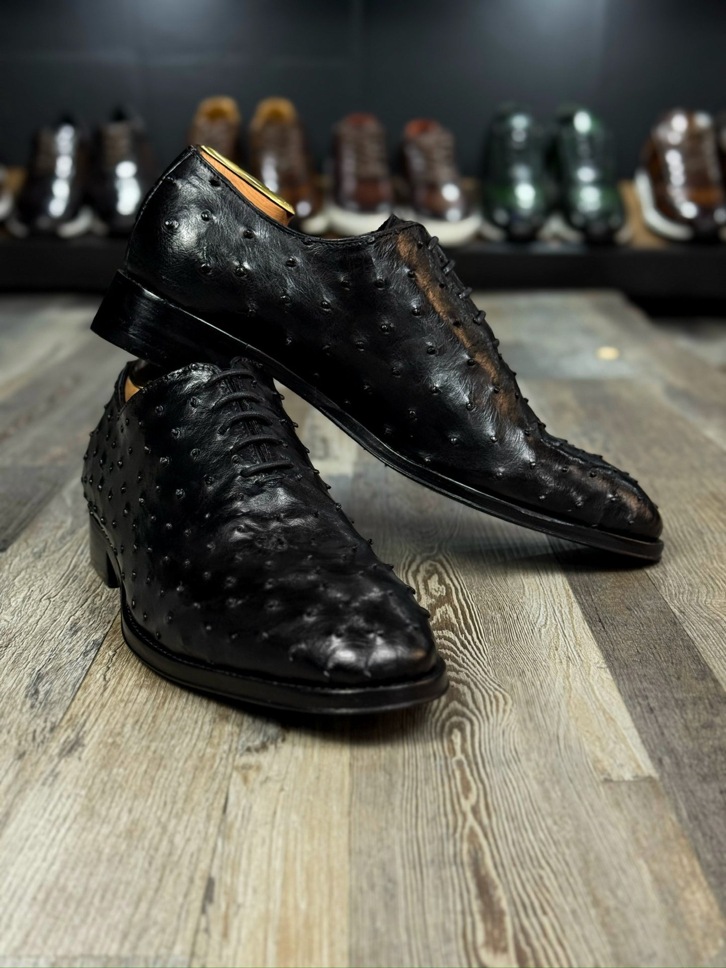 HUGO WHOLECUT OSTRICH BLACK 
