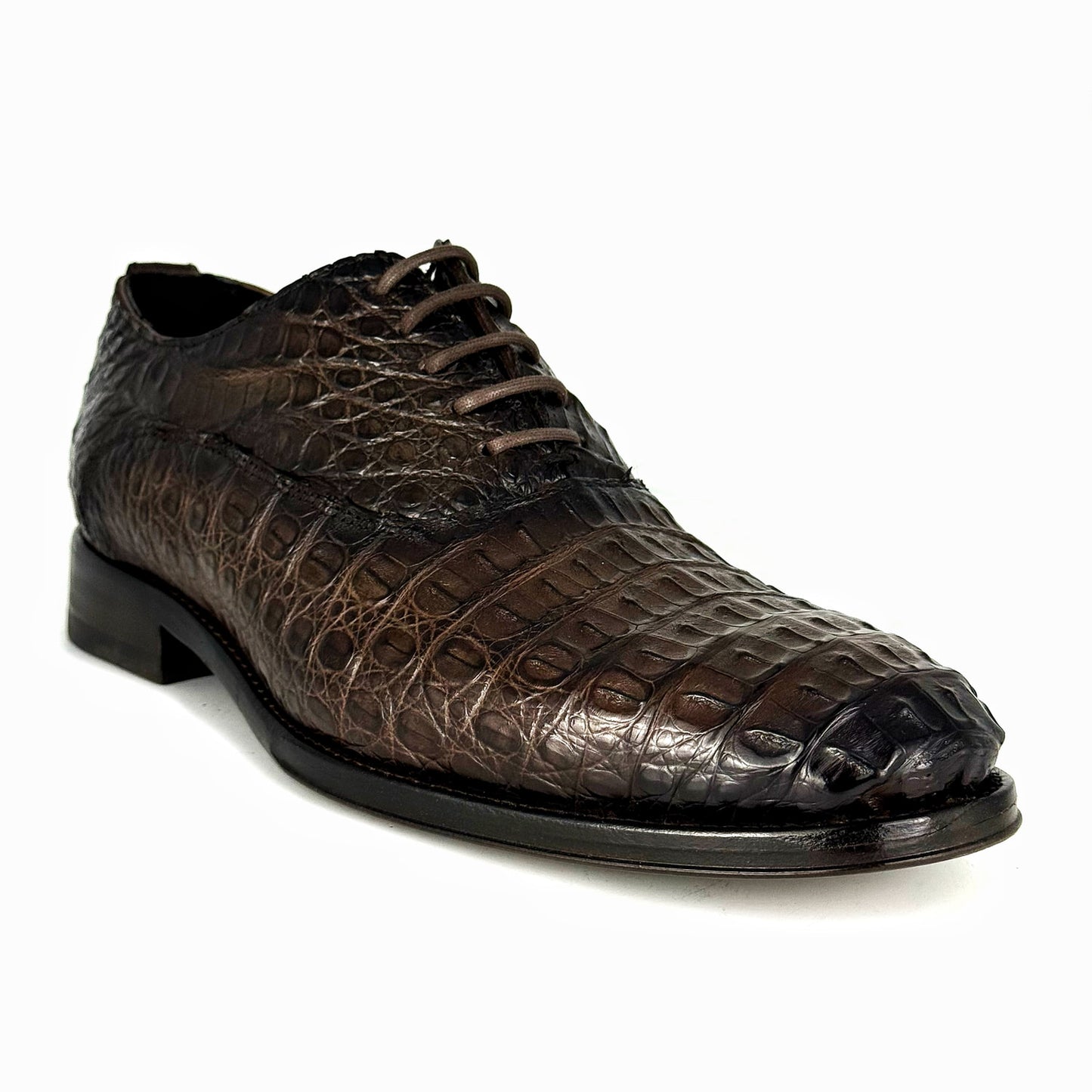 ALEXANDER COCODRILO FUSCUS BROWN