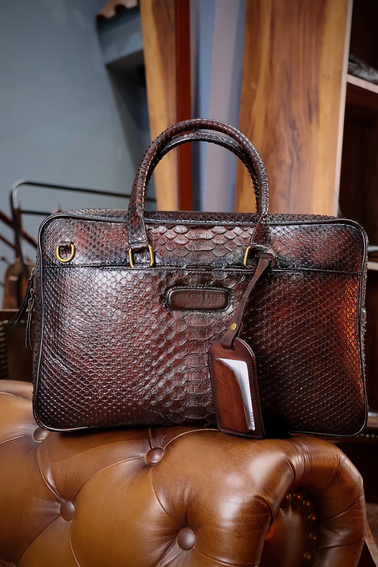 PORTAFOLIO PITON BROWN