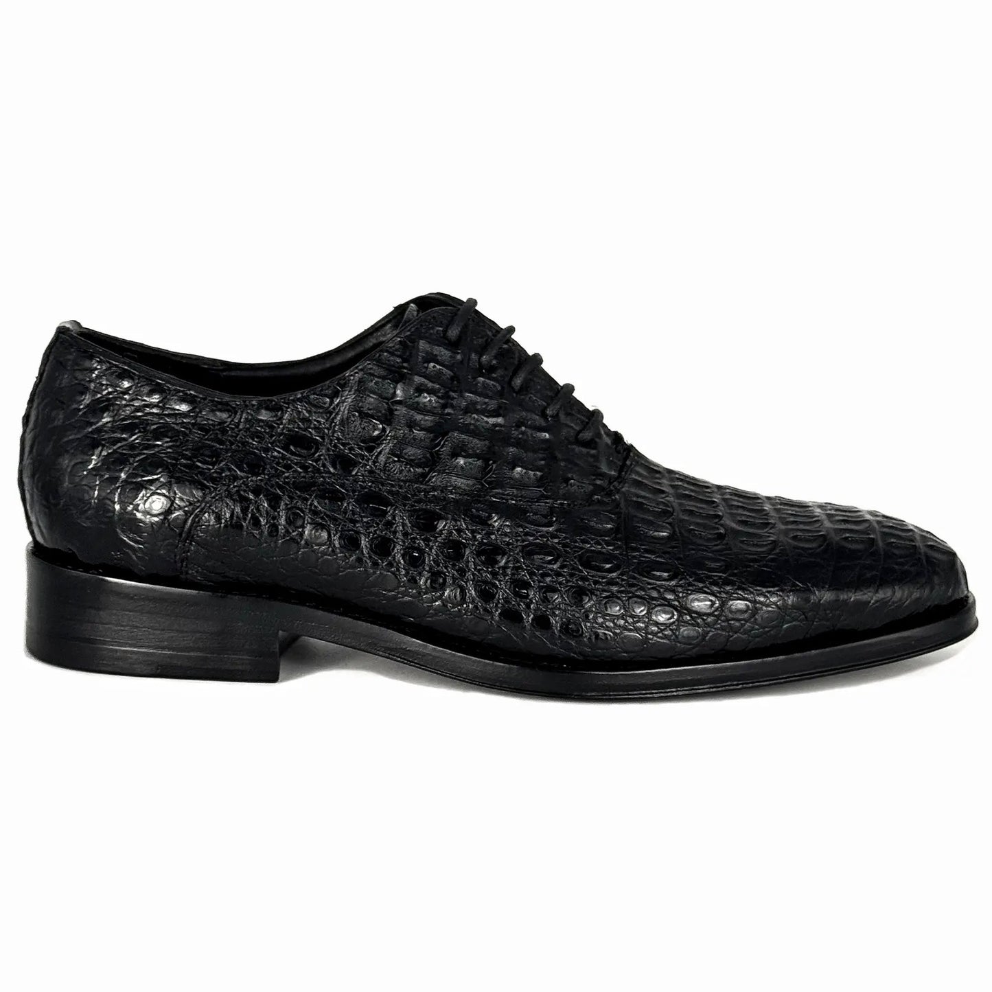 ALEXANDER COCODRILO FUSCUS BLACK