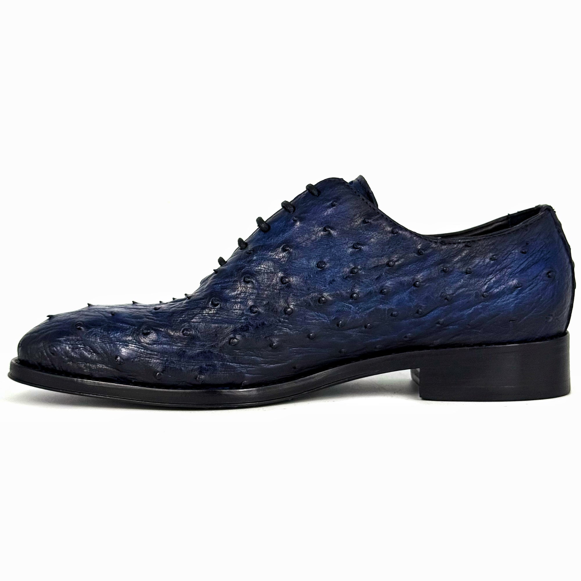 BLUE OSTRICH WHOLECUT HUGO