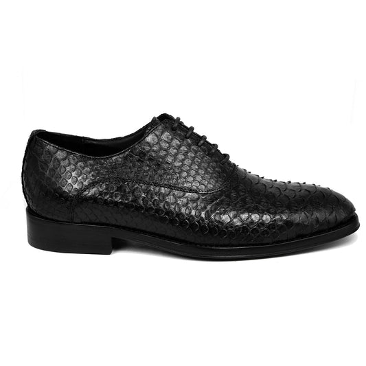 BLACK PYTHON ALEXANDER