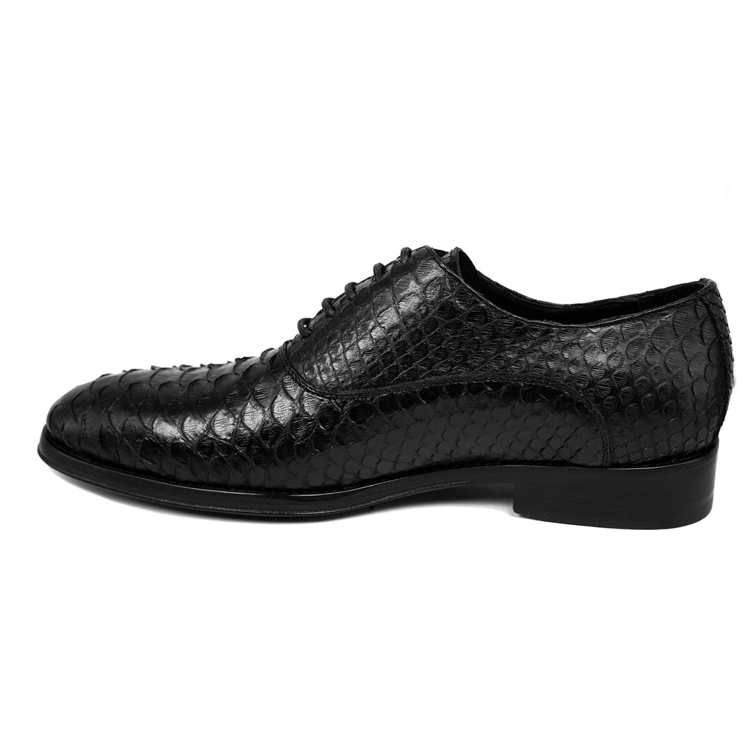 BLACK PYTHON ALEXANDER