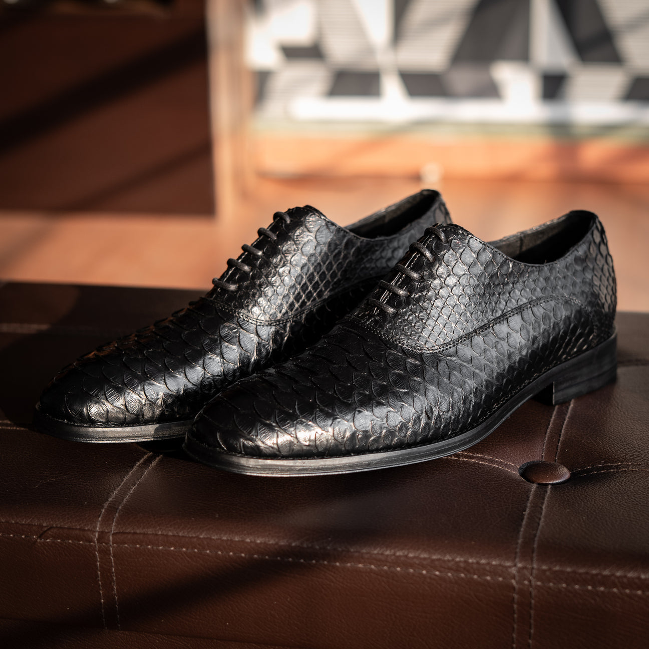 BLACK PYTHON ALEXANDER