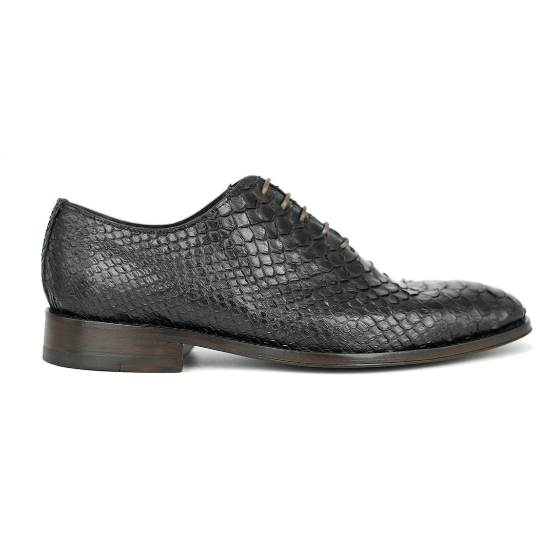 DARK BROWN PITON HUGO