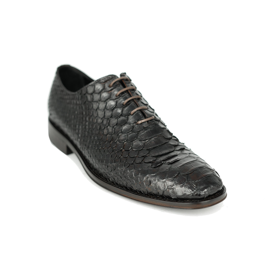 DARK BROWN PITON HUGO