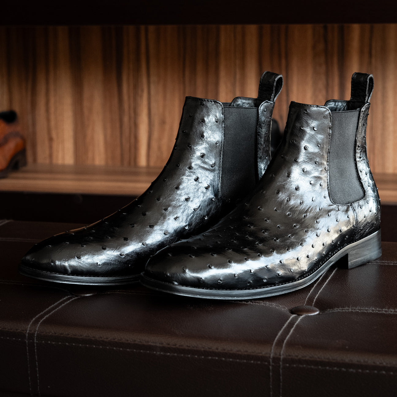 BLACK OSTRICH SAMUEL CHELSEA