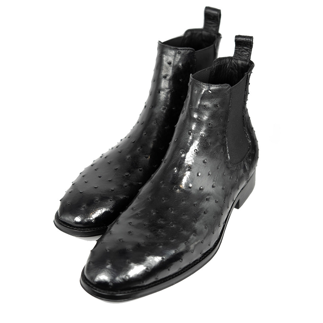BLACK OSTRICH SAMUEL CHELSEA