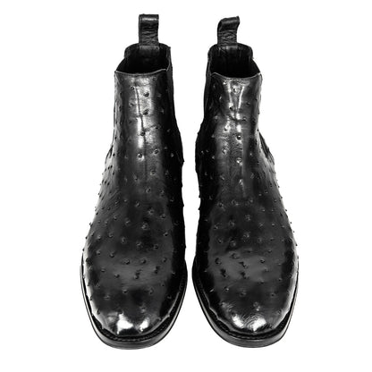 BLACK OSTRICH SAMUEL CHELSEA