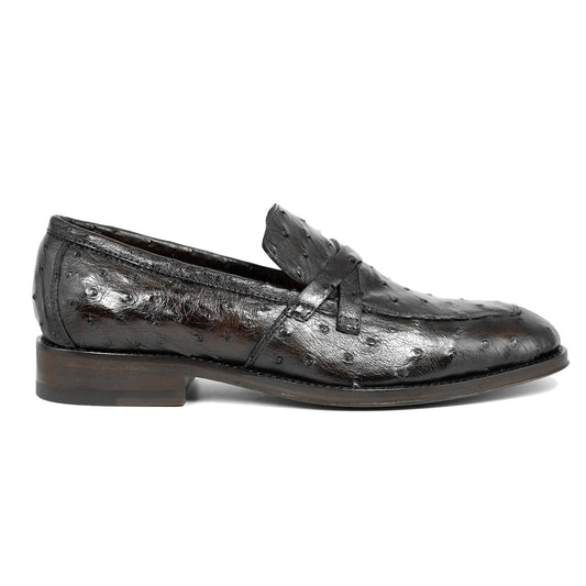 BROWN OSTRICH LEONARDO
