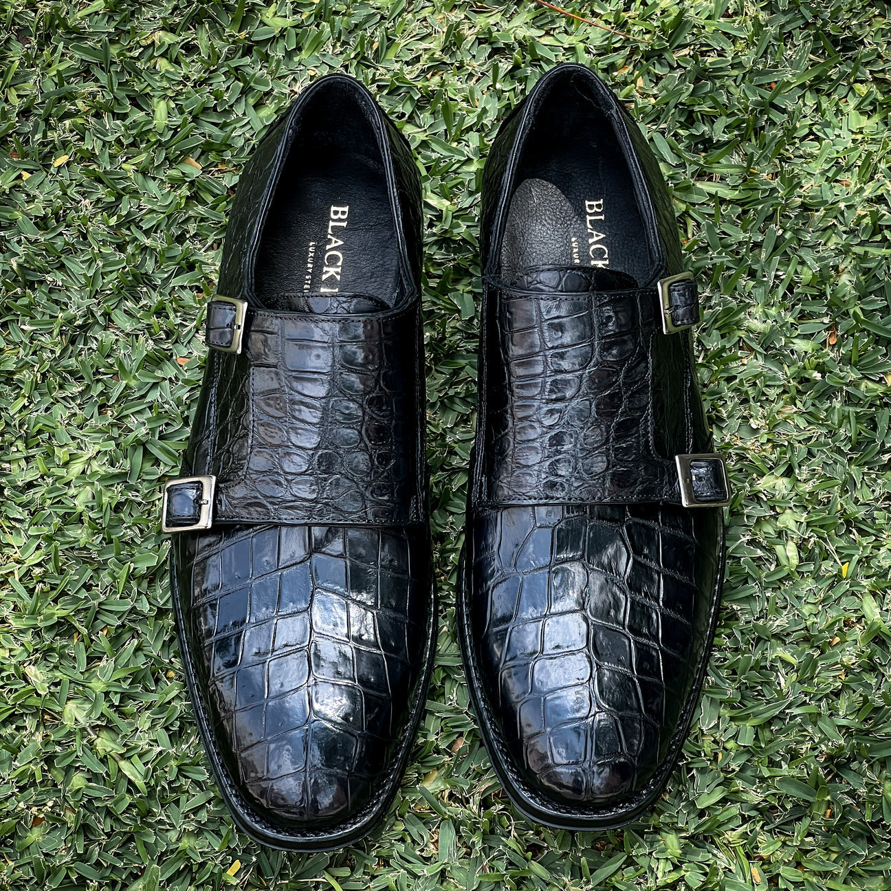 BLACK CROCO XAVIER
