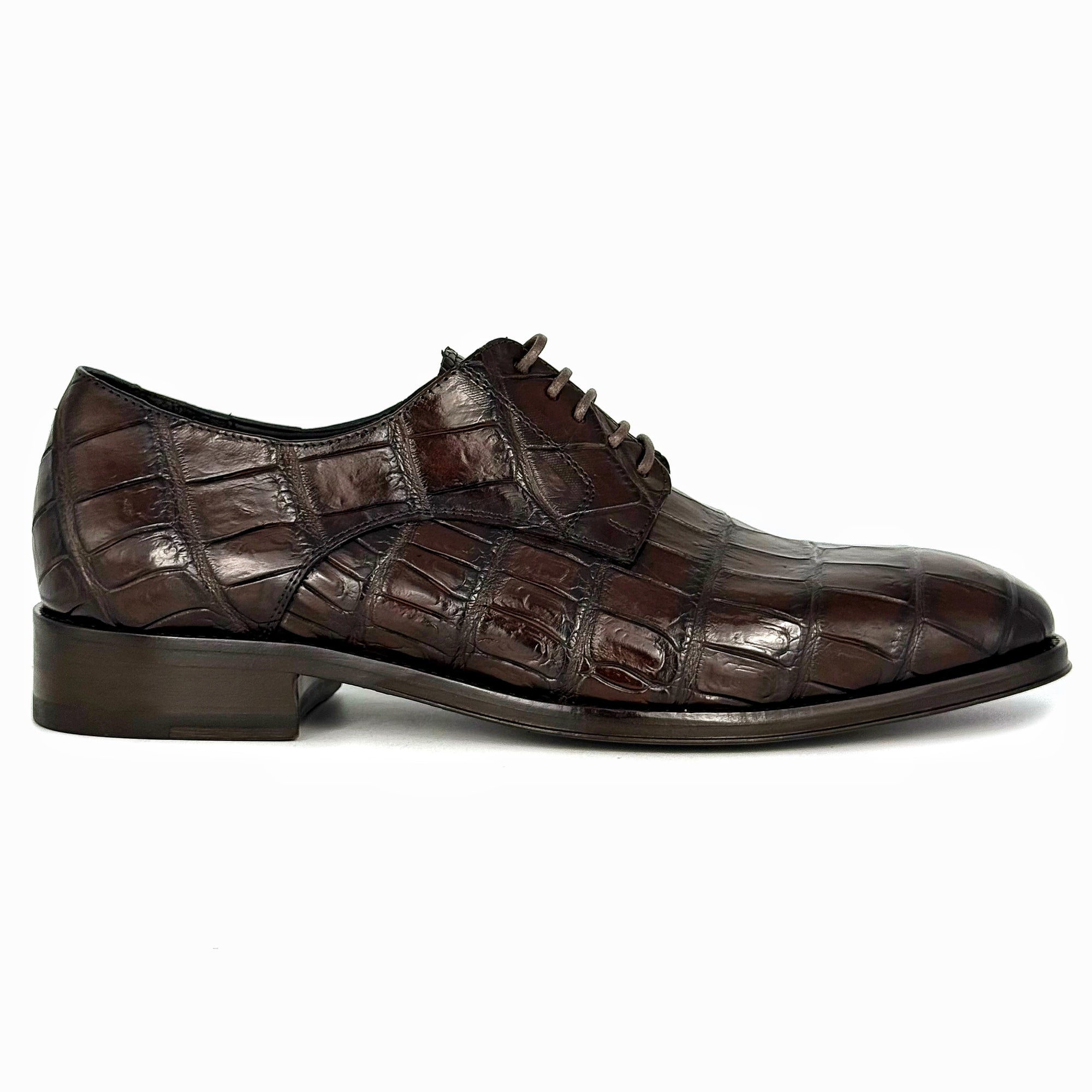 BROWN ALLIGATOR CARL