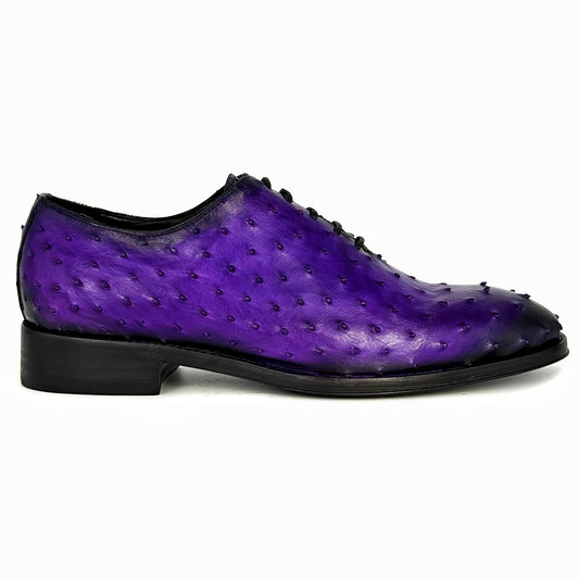 PURPLE OSTRICH HUGO