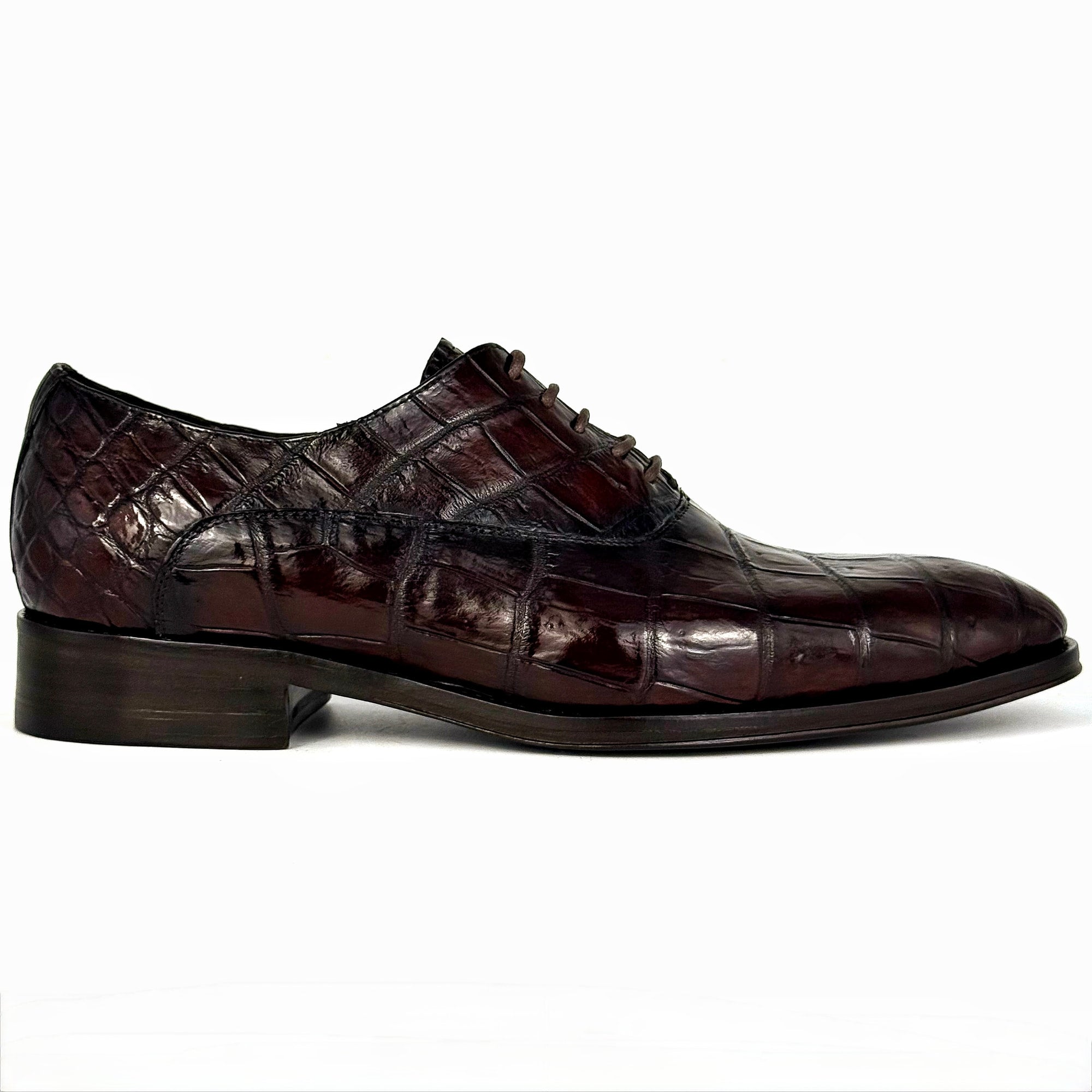 WINE CROCO ALEXANDER