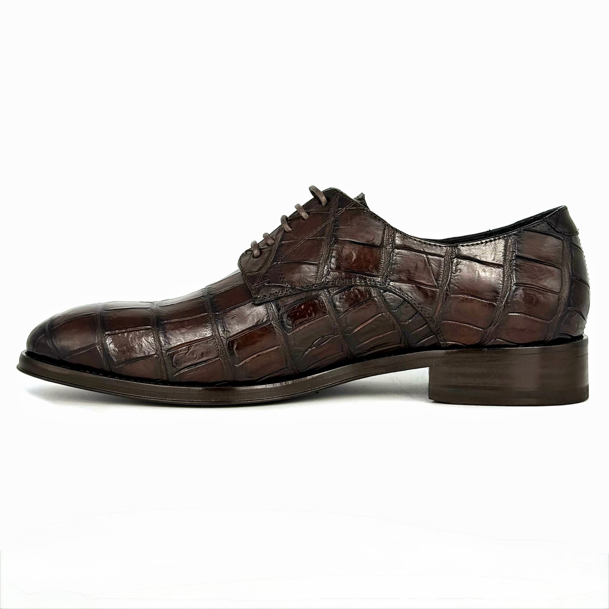 BROWN ALLIGATOR CARL
