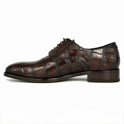BROWN ALLIGATOR CARL