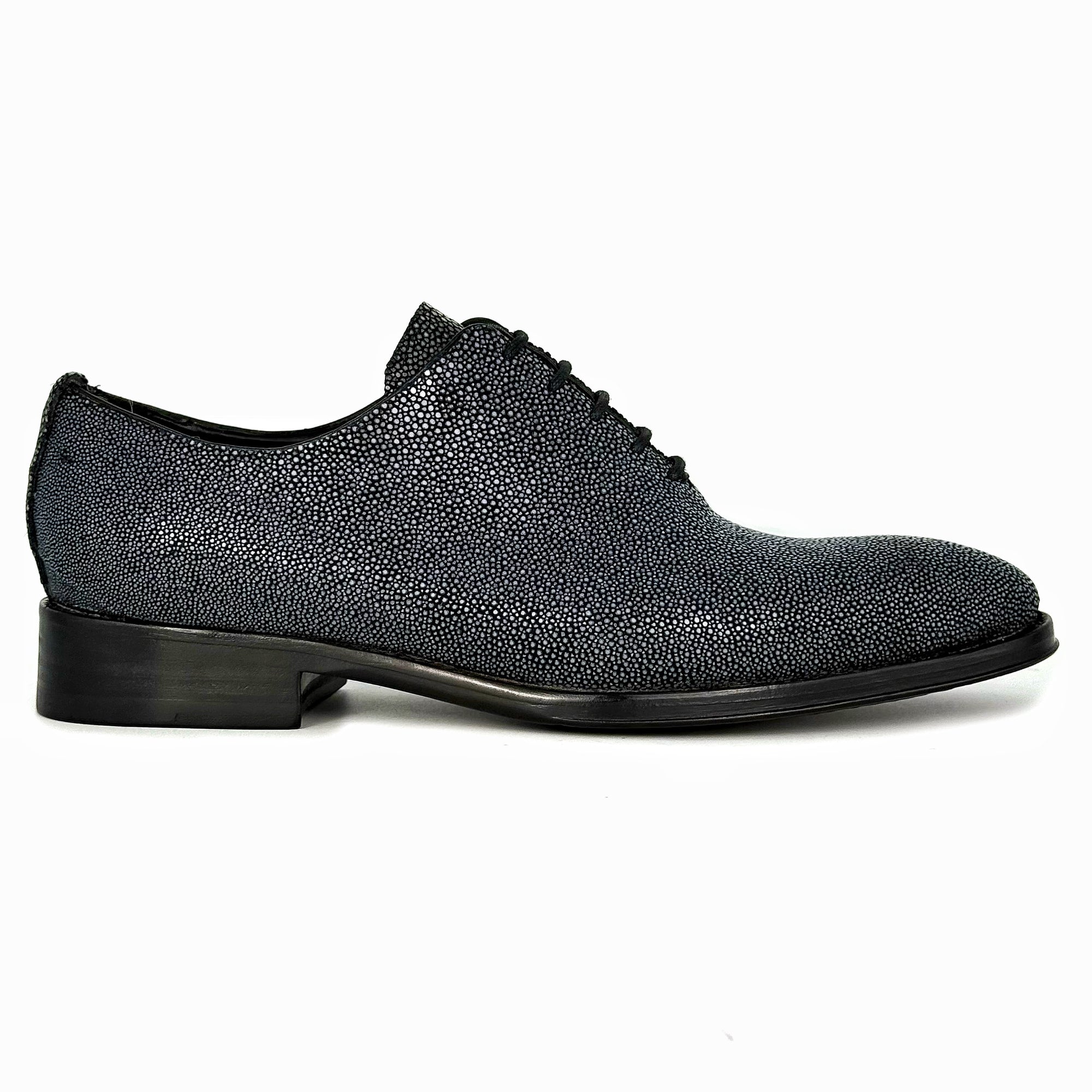 POLISHED STINGRAY HUGO