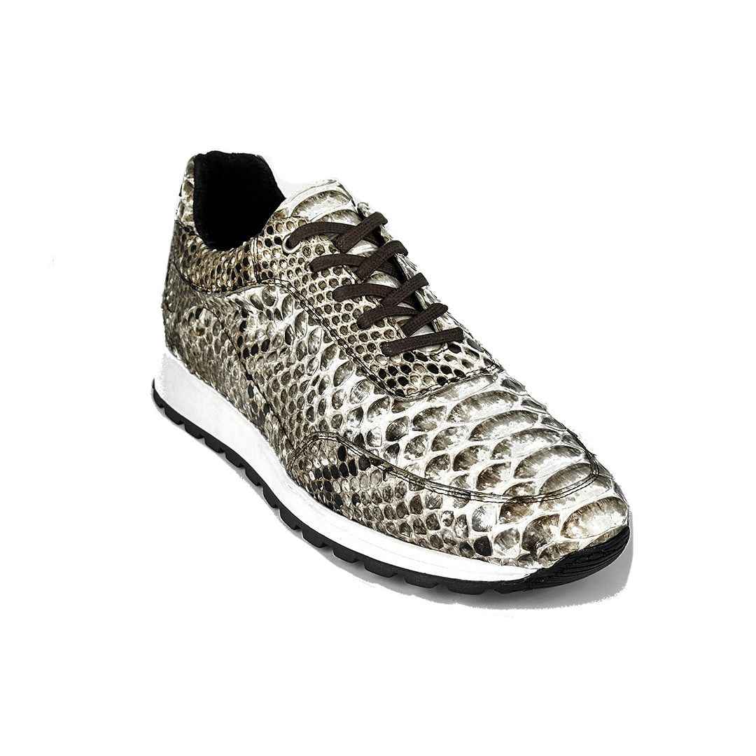 PYTHON SNEAKER