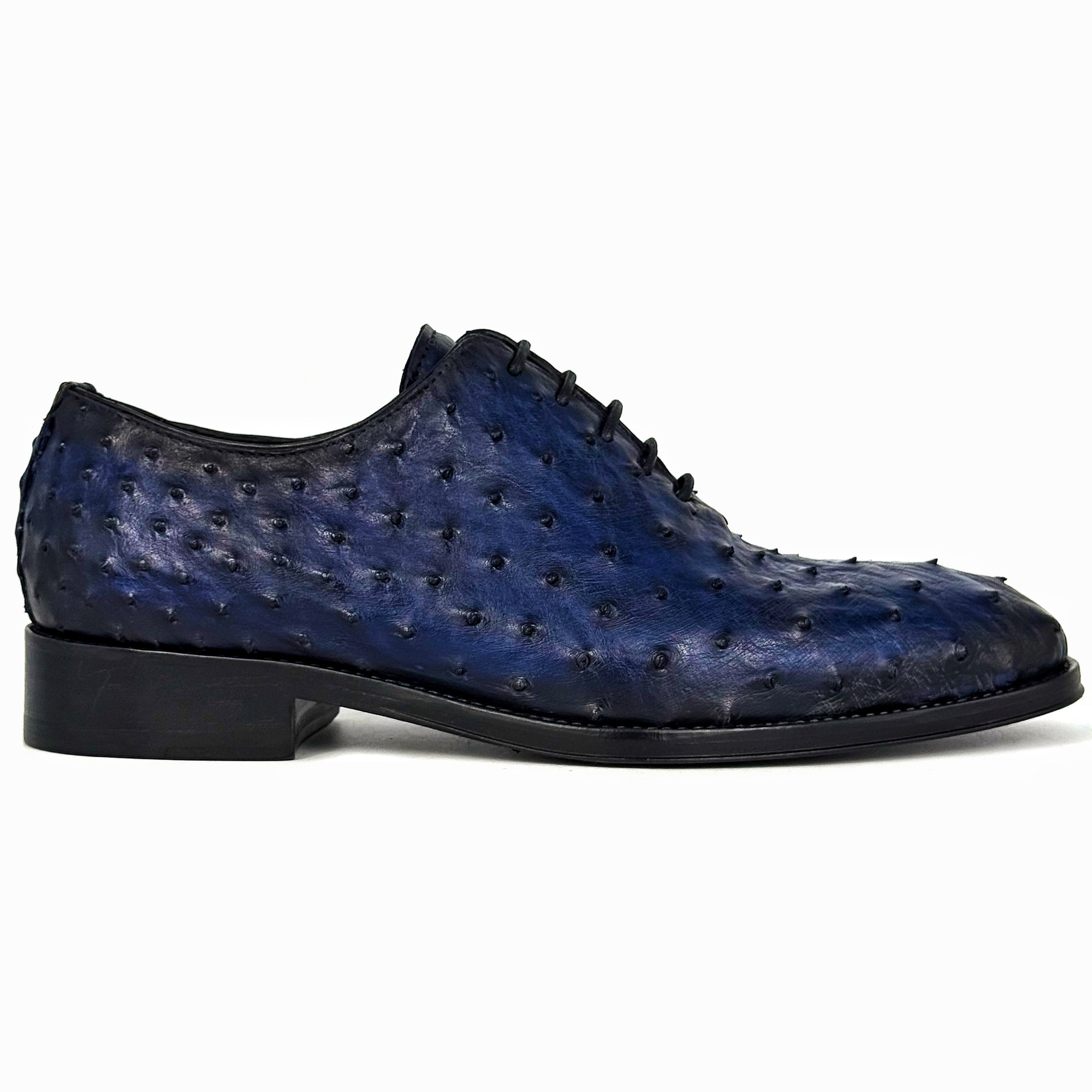 BLUE OSTRICH WHOLECUT HUGO