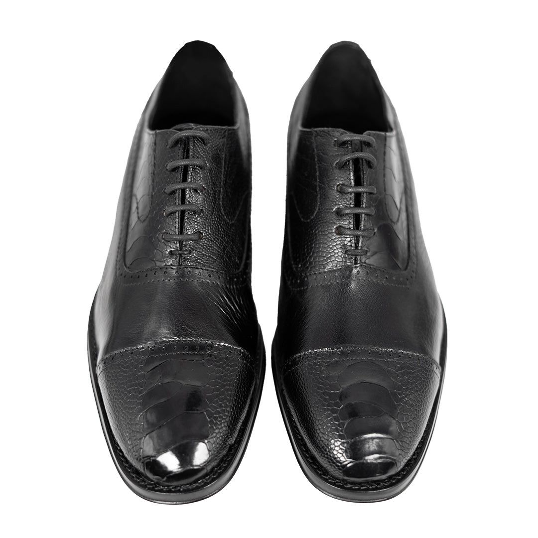 DARK OSTRICH & LEATHER WILLIAM
